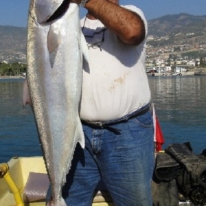 Jigging Akya Avı