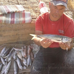 Karareis Tekne Avı