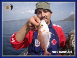 Tekneden Balık Avı