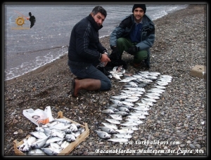 Bacanaklar Çupra Avı