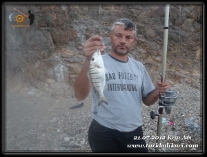 Çıkmaz Sokak Avı