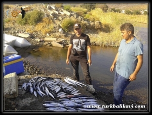 1.5 Yıl Aradan Sonra Bacanaklar İle Karareis