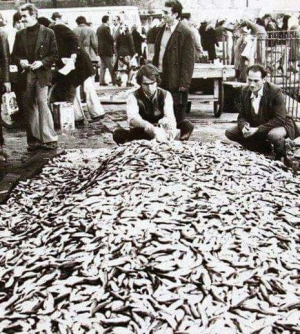 İstanbul Balıkçılık Nostalji