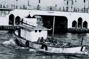 İstanbul Balıkçılık Nostalji