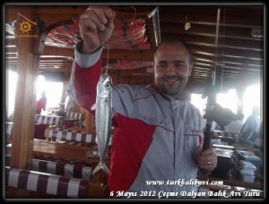 Çeşme Balıkavı Turu