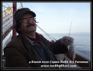 Çeşme Balıkavı Turu