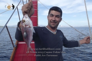 Çeşme Balıkavı Turu