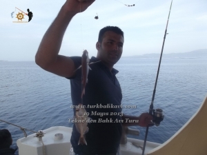 Çeşme Balıkavı Turu