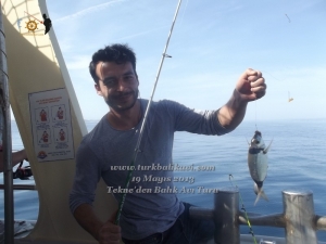 Çeşme Balıkavı Turu