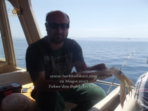 Çeşme Balıkavı Turu