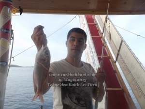 Çeşme Balıkavı Turu