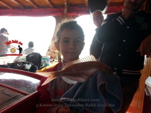 Çeşme Balıkavı Turu