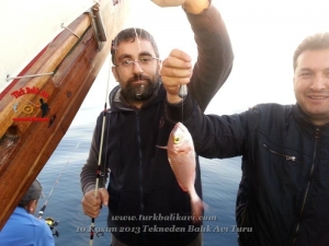 Çeşme Balıkavı Turu