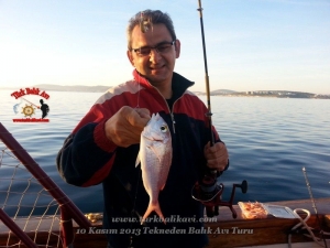 Çeşme Balıkavı Turu