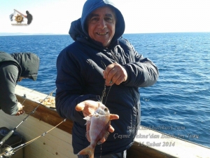 Çeşme Balıkavı Turu