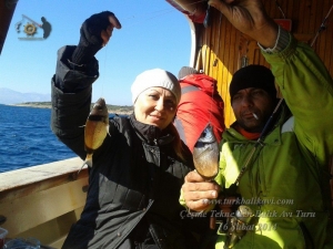 Çeşme Balıkavı Turu